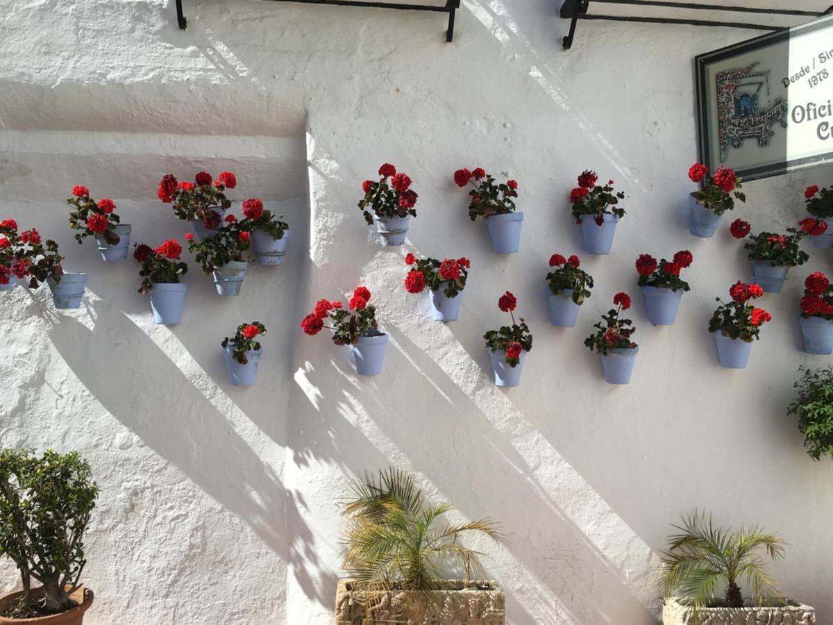 Paris Dream - Torremolinos Apartment ภายนอก รูปภาพ